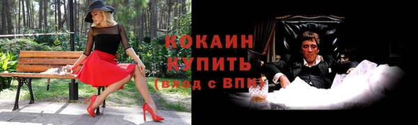 шишки Балабаново